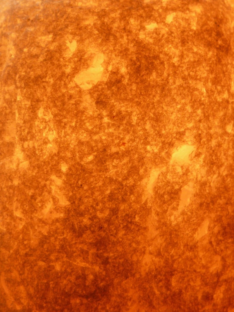 Amber with Insects