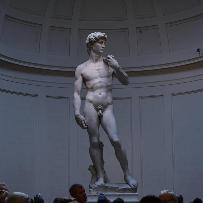 Michelangelo's Statue of David