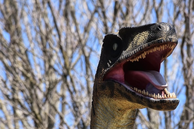 Velociraptor